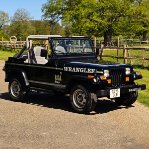 JEEP WRANGLER YJ RENEGADE LHD 4.2 MANUAL